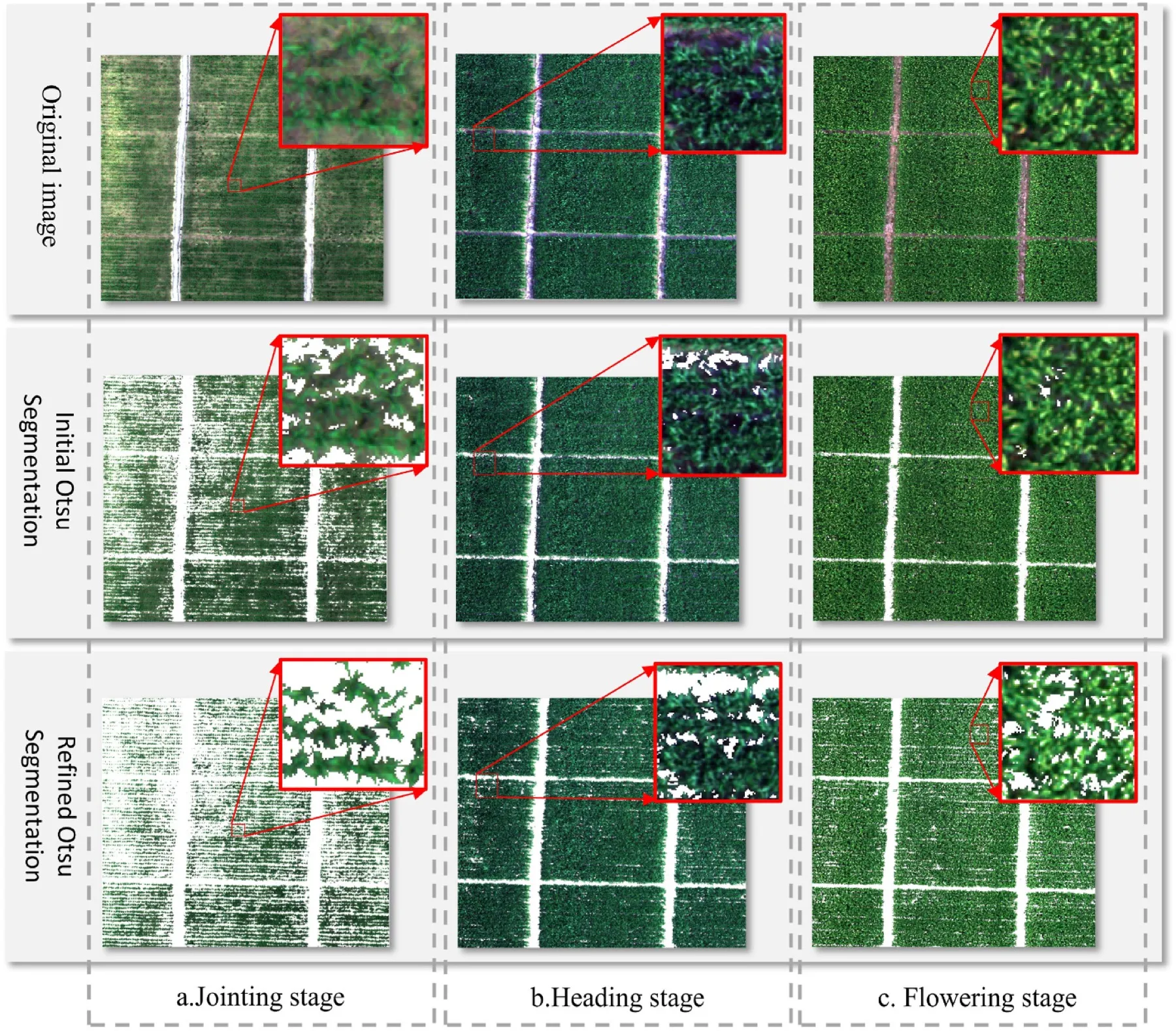 Raw UAV imagery (top) through to rice pixels separated from ridges and water (bottom), across the jointing, heading and flowering stages. Everything downstream is garbage unless the non-rice pixels come out first.